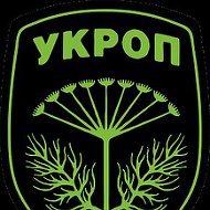 Смешной укроп. Семена укропа и петрушки. Укроп песня. Укроп песня. Укроп приложение.